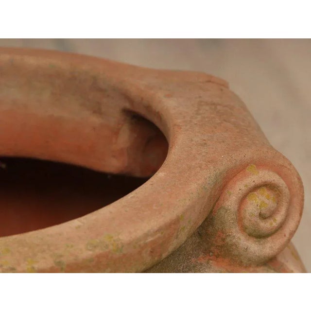 1930s Pair of Vintage Italian Benocci Maurizio Sinalunga Compton Pottery Terracotta Garden Scroll Pots For Sale - Image 5 of 6