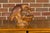 Italian Midcentury Carved Wooden Bowl with Crane and Leaf Motifs For Sale In Atlanta - Image 6 of 12