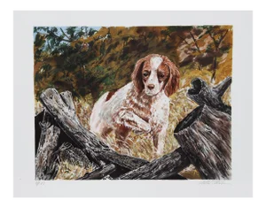Allen Friedman, Pointer, Lithograph