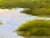 Paint Large Square Winding Marsh Creek Painting - 48x48 For Sale - Image 7 of 9