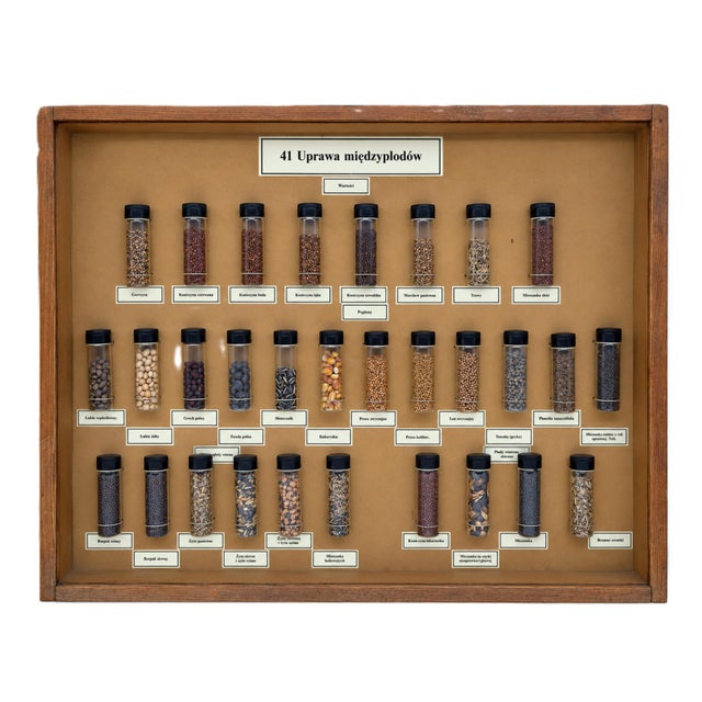 Vintage Polish Educational Display Case, 1970s For Sale - Image 10 of 10