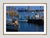 Boats and Bridges by Toni Frissell Boats gather in a harbour near the infamous Gold Star Bridge for the Harvard-Yale...