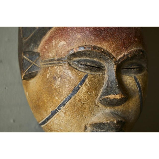 Brown African Bena Lulua Mask Kasai Region, 1940s For Sale - Image 8 of 13