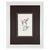Glass Antique Botanical Print Gallery | Set of 8 F. Edward Hulme Chromolithographs, Framed For Sale - Image 7 of 12