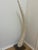 Unique Elephant Tusks, Tessellated Travertine & Marble faux, Gold Trim Base & Tips, (2)