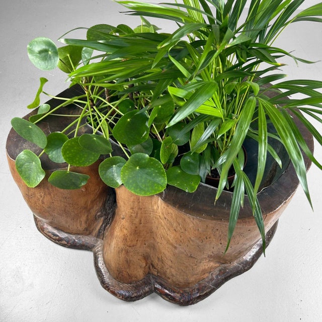 Antique Japanese Wooden Hibachi, 1890s For Sale - Image 10 of 18