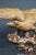Hand carved walnut eagle sculpture with outstretched wings mounted on a carved burl wood base. Detailed carving throughout...