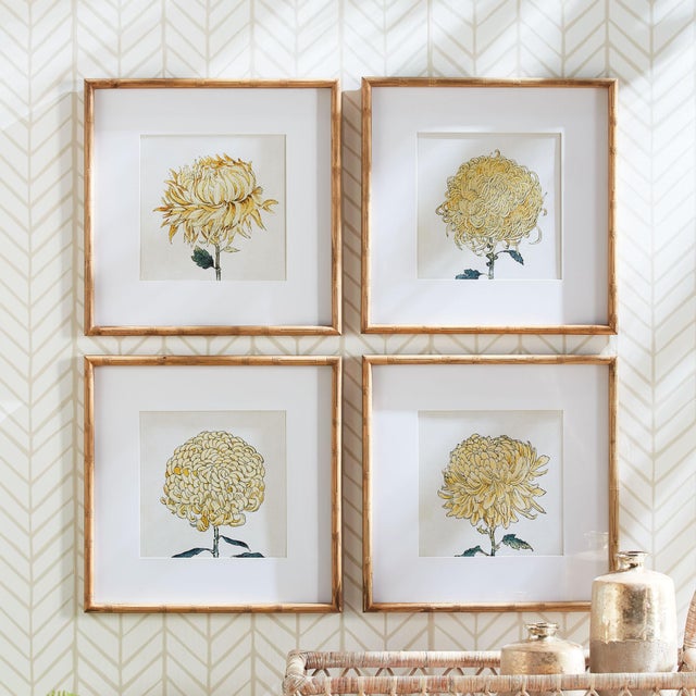 Kenneth Ludwig Chicago Chrysanthemum Prints, Set Of 4 For Sale - Image 4 of 6