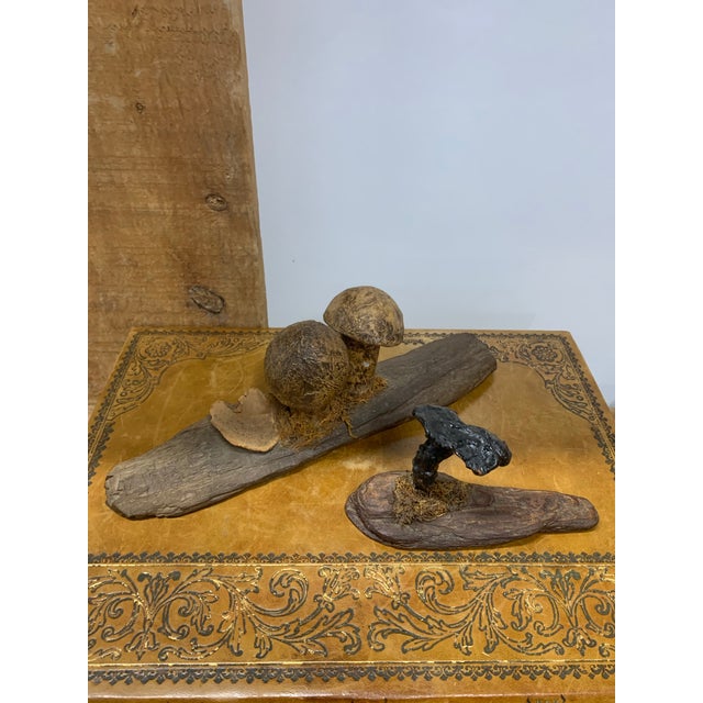 Pair of Antique Instructional Folk Art Mushroom Models on Wooden Bases from an art school in France.