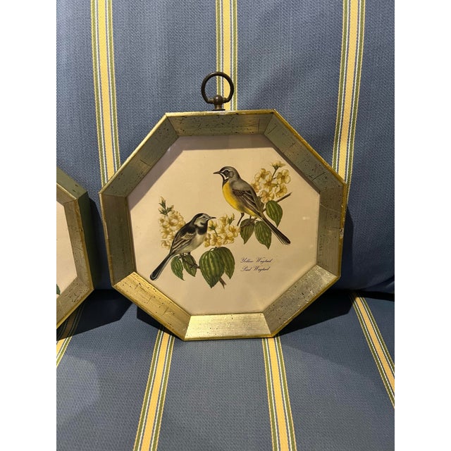 Beautiful Bird prints in frame. The wood frames are octagon shaped with an antique gold design on the inner frame. The...