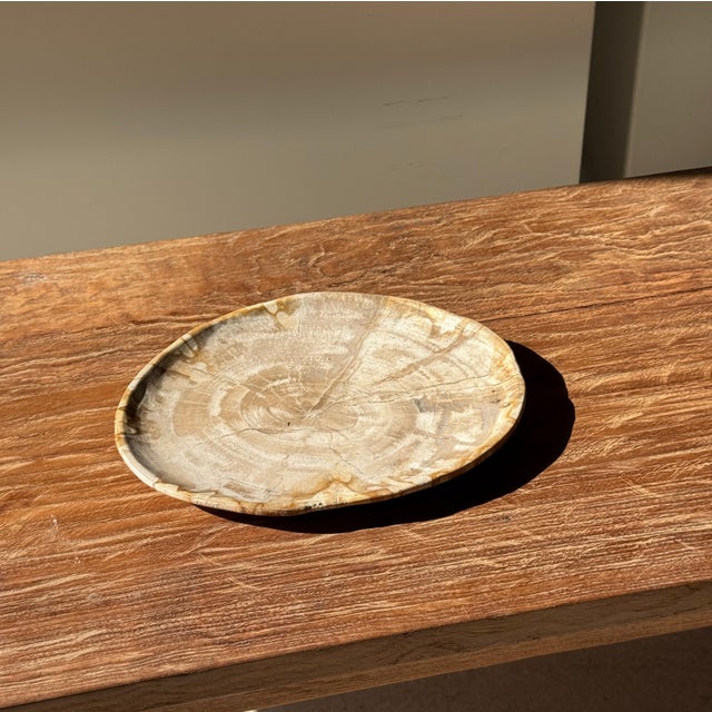 Small Oval Beige Petrified Wood Trinket Dish or Tray with Speckled Rings For Sale - Image 18 of 18
