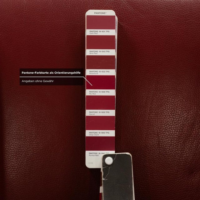 Animal Skin Arc-E Dining Chair in Red Leather from Bert Plantagie For Sale - Image 7 of 13