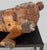 20th Century Carved & Polychromed Carousel Lion, Style of Dentzel For Sale - Image 9 of 17
