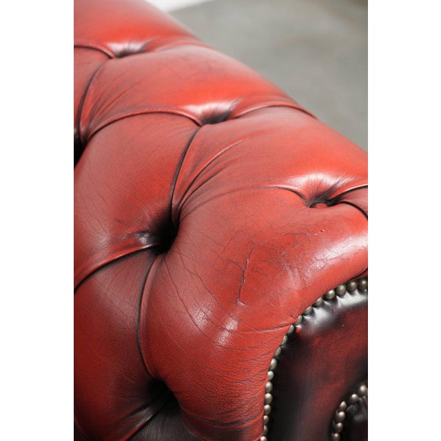 English Chesterfield Sofa in Cow Leather For Sale - Image 10 of 16