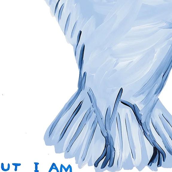 David Shrigley I Did Not Ask to Be a Bird Lithograph Poster, 2021 For Sale - Image 6 of 6