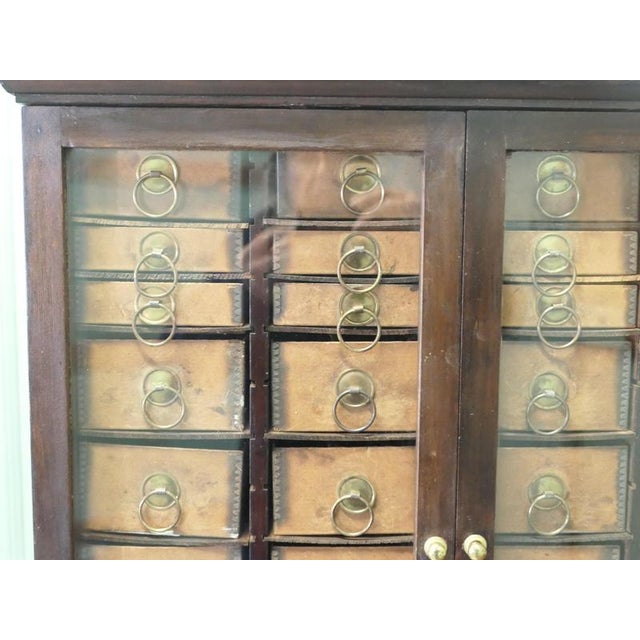 Art Deco Haberdashery Display Cabinet in Walnut, Glass, and Brass, 1920s For Sale - Image 3 of 9