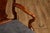 Georgian Style Set of Ten Carved Burlwood Dining Chairs For Sale - Image 16 of 18