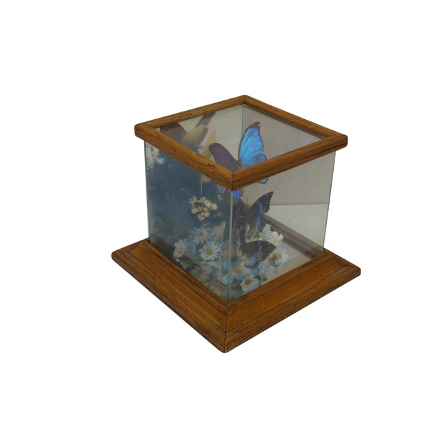 Vintage taxidermy terrarium diorama with butterfly and artificial floral arrangement displayed inside a glass apothecary...