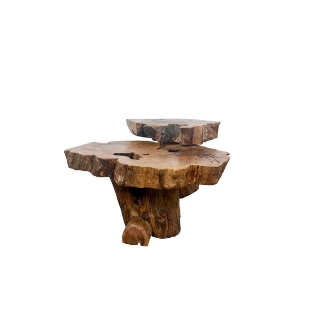 Vintage Organic Modern Two-Tier Live Edge Wood Coffee Table For Sale - Image 12 of 18
