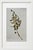 Paper Set of 6 - One-of-a-Kind Dark Green & Cream Botanical Organic Modern Original Oil Paintings / Contemporary Herbarium / Floral / Earth Tones For Sale - Image 7 of 18
