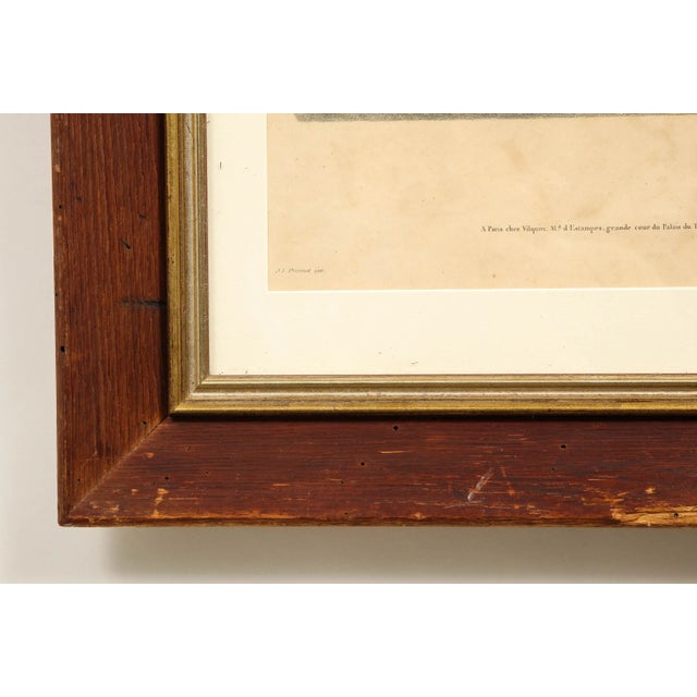 Mario Buatta Early 19th Century Potted Auricula Engraving by Jean-Louis Prévost in Pine Frame For Sale - Image 4 of 10