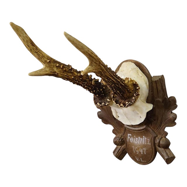 Black Forest Vintage Deer Trophy on Carved Plaque 1947 For Sale