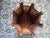 Late 20th Century Anglo Indian Sheesham Carved Wood Side Table With Inlay For Sale - Image 12 of 12