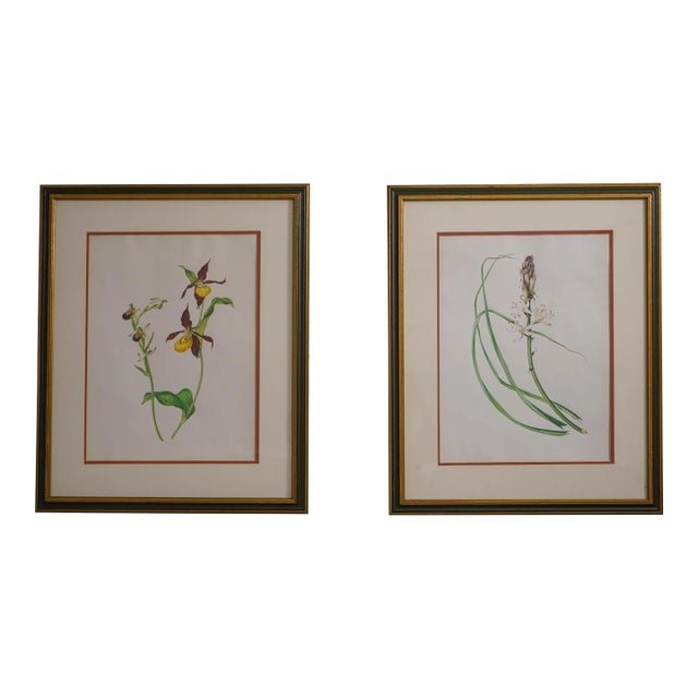Pair Vintage Framed & Matted Botanical Prints For Sale