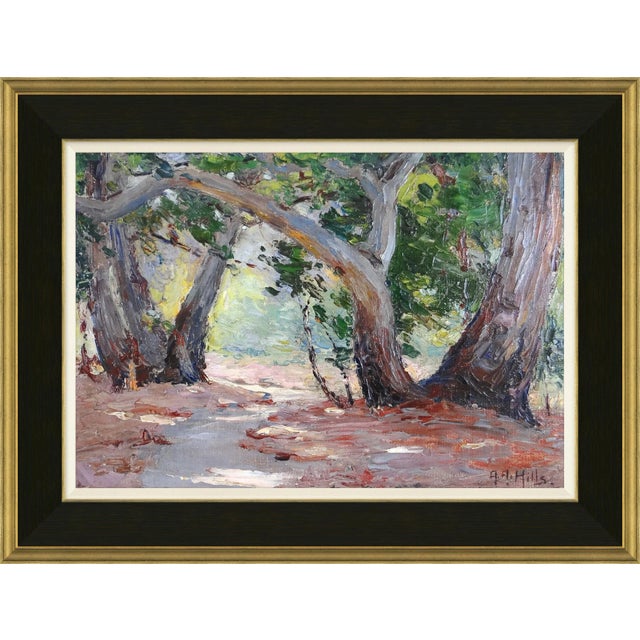 Sycamore Canyon Framed Art Print from The Scholar Series by David Phoenix ABOUT THE SCHOLAR SERIES BY DAVID PHOENIX: In...