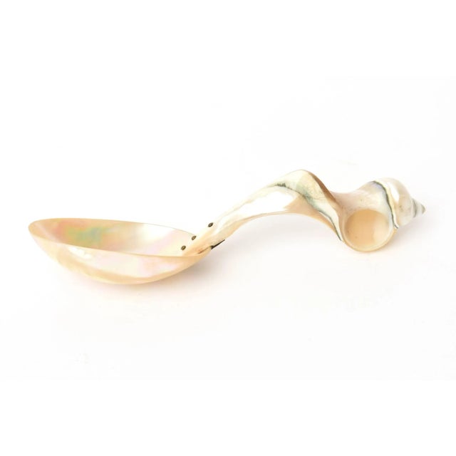 Off-white Vintage Organic Mother-of-Pearl Sculptural Serving Spoon For Sale - Image 8 of 11