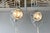 Glass Inspection Floor Lamp by Peter Behrens for Zeiss Ikon, 1890s For Sale - Image 7 of 14
