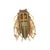This beetle brooch by Iradj Moini is crafted in brass with gold plating. The piece features a black onyx body with abalone...