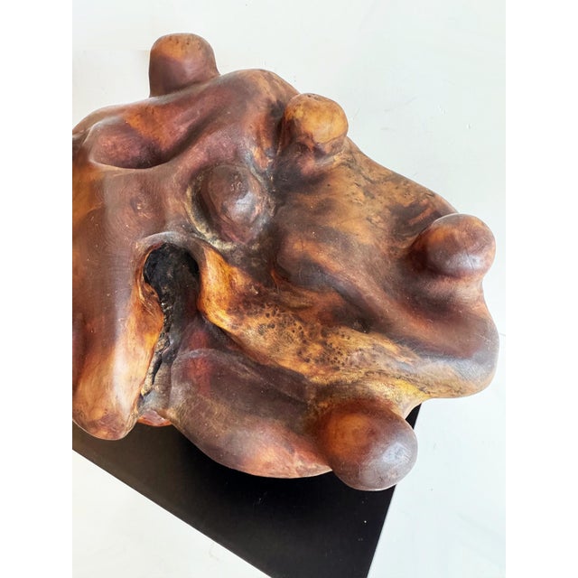 Mid 20th Century Biomorphic Mid-Century Abstract Burlwood Sculpture on a Base For Sale - Image 5 of 10