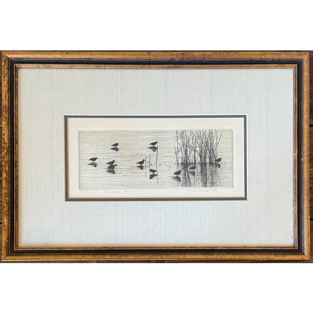 1980s Framed Coastal Shorebirds Etching, Signed and Numbered For Sale - Image 6 of 6