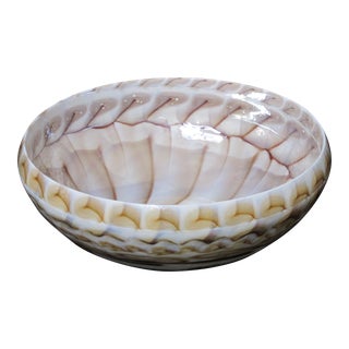 1990s Murano Glass Nautilus Centerpiece Bowl For Sale