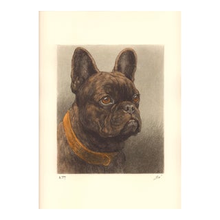 Vintage Hand Colored French Bulldog Etching by Herbert Thomas Dicksee For Sale