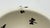 Emilia Castillo Taxco Porcelain & Pure Silver Dove Jewelry Box, Mexican Modern For Sale - Image 18 of 18