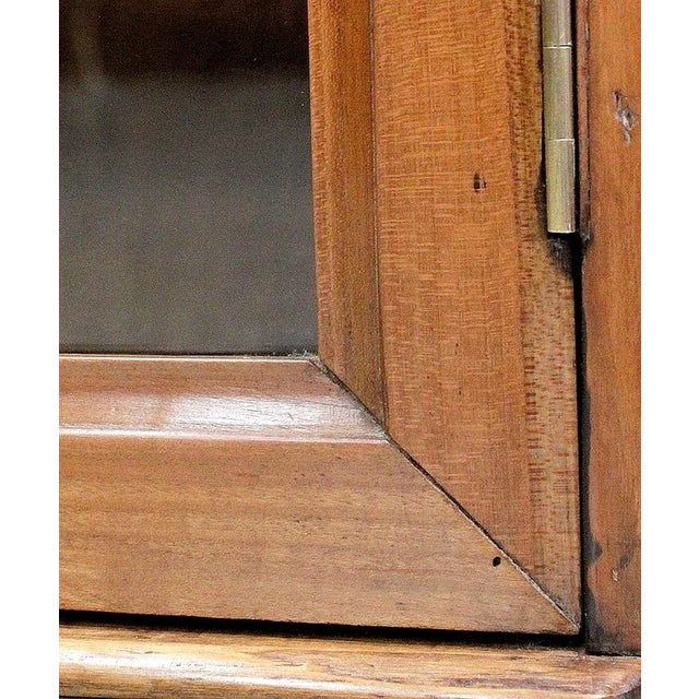 Small 19th Century Birch Wall Display Cabinet For Sale - Image 11 of 18