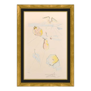 Late 20th Century the Fruits of the Valley Surrealism Blue Etching Salvador Dalí For Sale