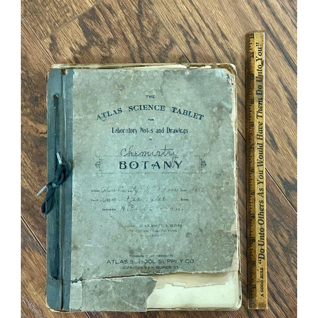 Antique Botany Herbarium: 1900s Lab Notes & Drawings - Columbia City High School For Sale - Image 9 of 10