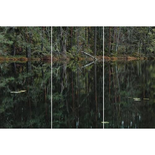Black Bernhard Lang, deep_mirroring_forest_006 Triptych, Limited Edition Fine Art Photography, Set of 3 For Sale - Image 8 of 8