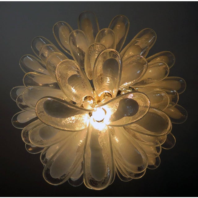 Glass Italian Murano Glass Petal Chandeliers, Murano, Set of 2 For Sale - Image 7 of 11