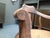 Antique Barbers Chair with Adjustable Headrest, 1900s For Sale - Image 16 of 18
