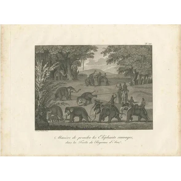 Early 19th Century Symes, Elephants in the Kingdom of Ava, 1800, Print For Sale - Image 5 of 5