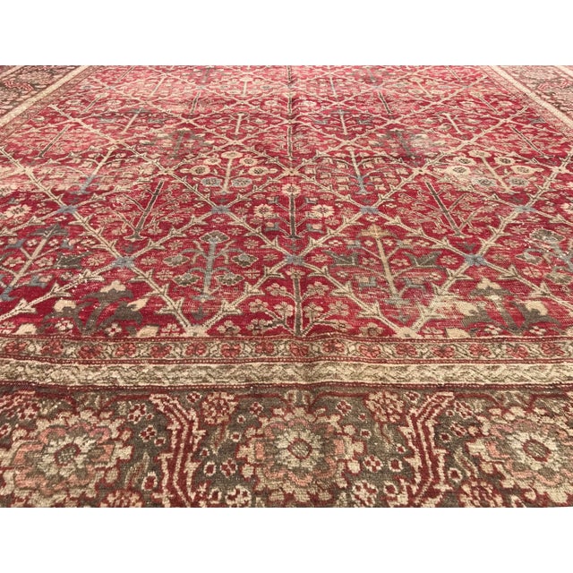 1900 - 1909 Antique Bakshayesh Design Rug - 8′6″ × 10′ For Sale - Image 5 of 13