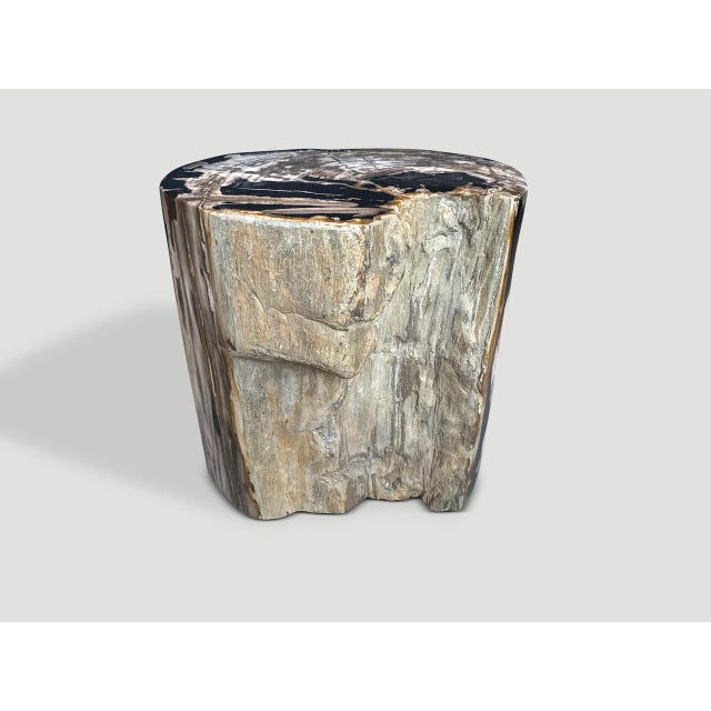 Impressive striking tones and textures on this ancient petrified wood side table. It’s fascinating how Mother Nature...