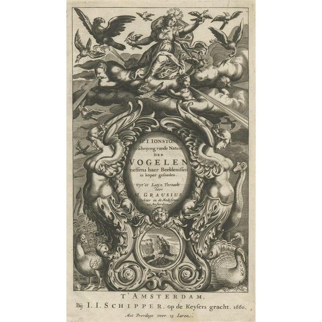 Johnston, Decorative Frontispiece of Putti and Birds, 1660, Print For Sale - Image 3 of 5