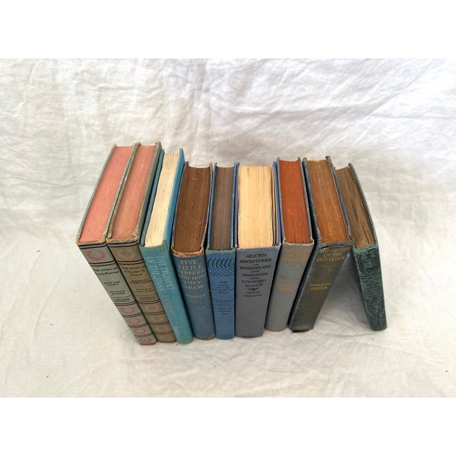 Group of 9 Assorted Antique Shades of Blue Books For Sale - Image 4 of 6