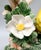 Vintage Italian Ceramic Yellow Bird Figurine With Applied Flowers and Foliage – Traditional, Cottage For Sale In Houston - Image 6 of 14