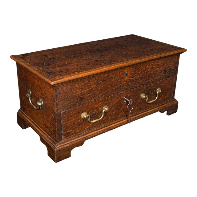 1800's Antique Georgian Oak Apprentice Mule Chest For Sale